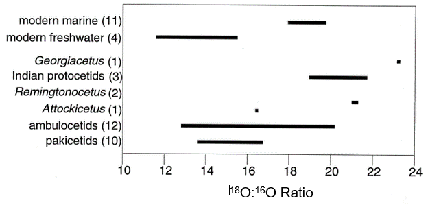 Graph showing oxygen isotope ratios of modern and extinct cetacean species.