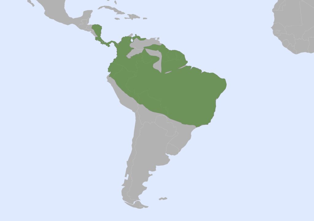 A map of Central and South America with a highlighted green region covering the Amazon rainforest and surrounding areas, including parts of Brazil, Colombia, Venezuela, Ecuador, Peru, Bolivia, and Guyana.