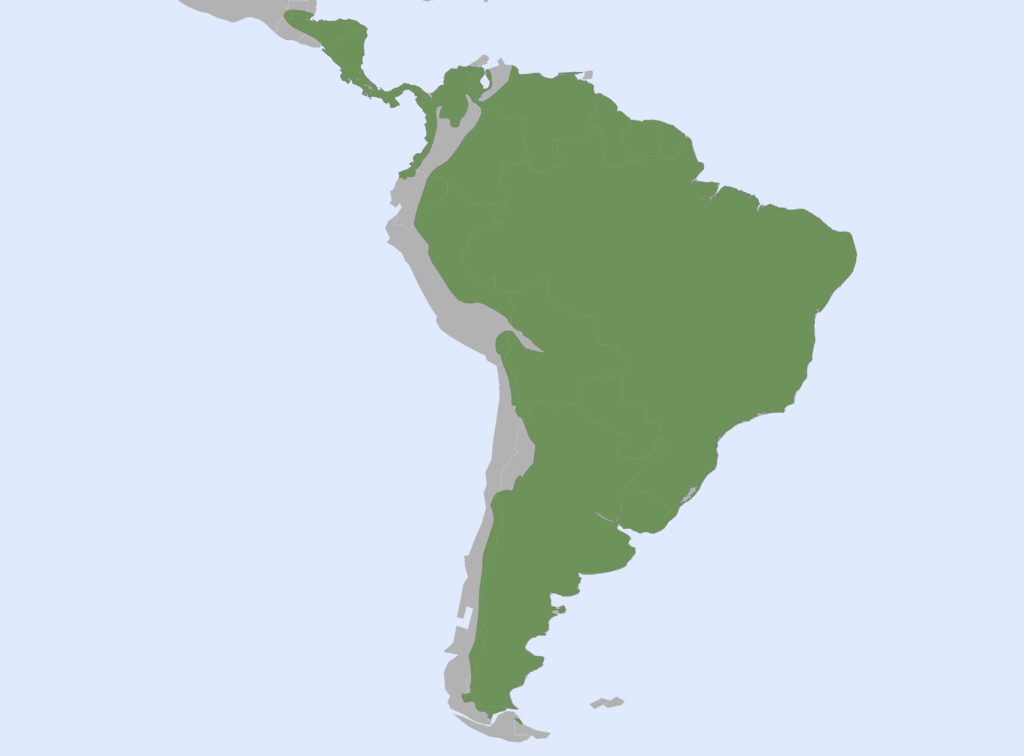 A distribution map showing a species or family of animals across almost all of South America and parts of Central America. The green area covers a vast portion of the continent, including Brazil, Argentina, and extending into Panama and Costa Rica.