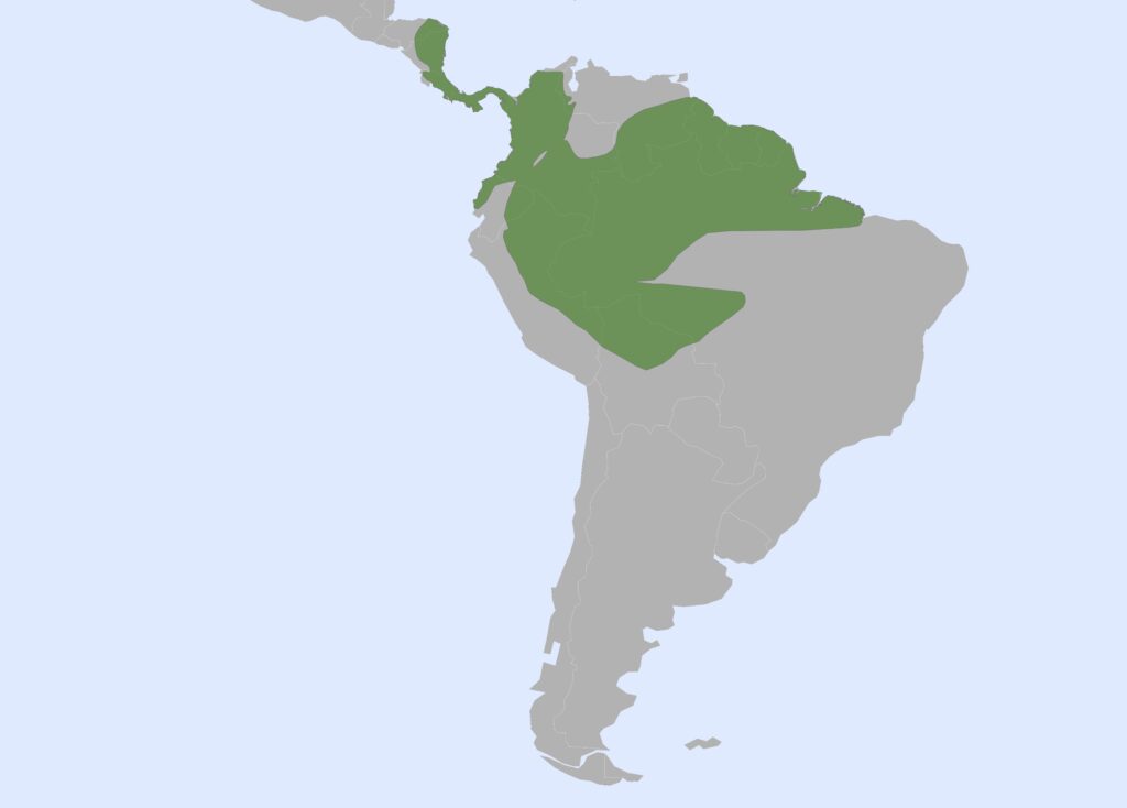 A map of Central and South America with a highlighted green region covering a more localized area, including parts of Colombia, Venezuela, Ecuador, Peru, and Brazil, focusing on the northern and central Amazon basin.