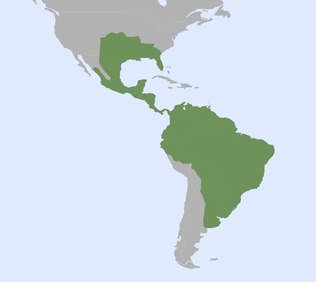 A map of Central and South America with a highlighted green region covering a larger portion of the continent, including Southeast USA, Mexico, Central America, the Amazon rainforest, and much of Brazil.